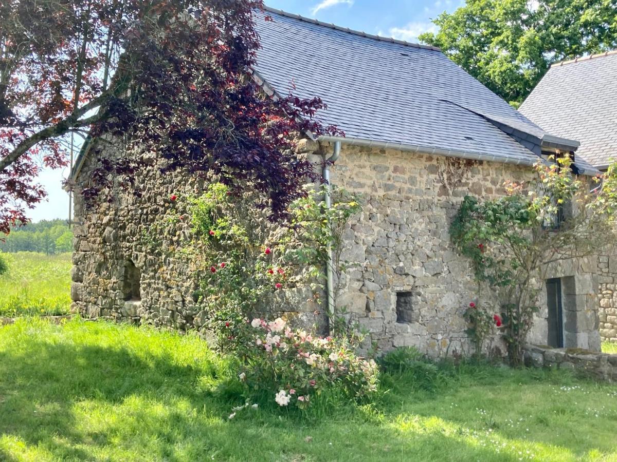 Le Nid De La Breizhidence Combourg Exterior foto