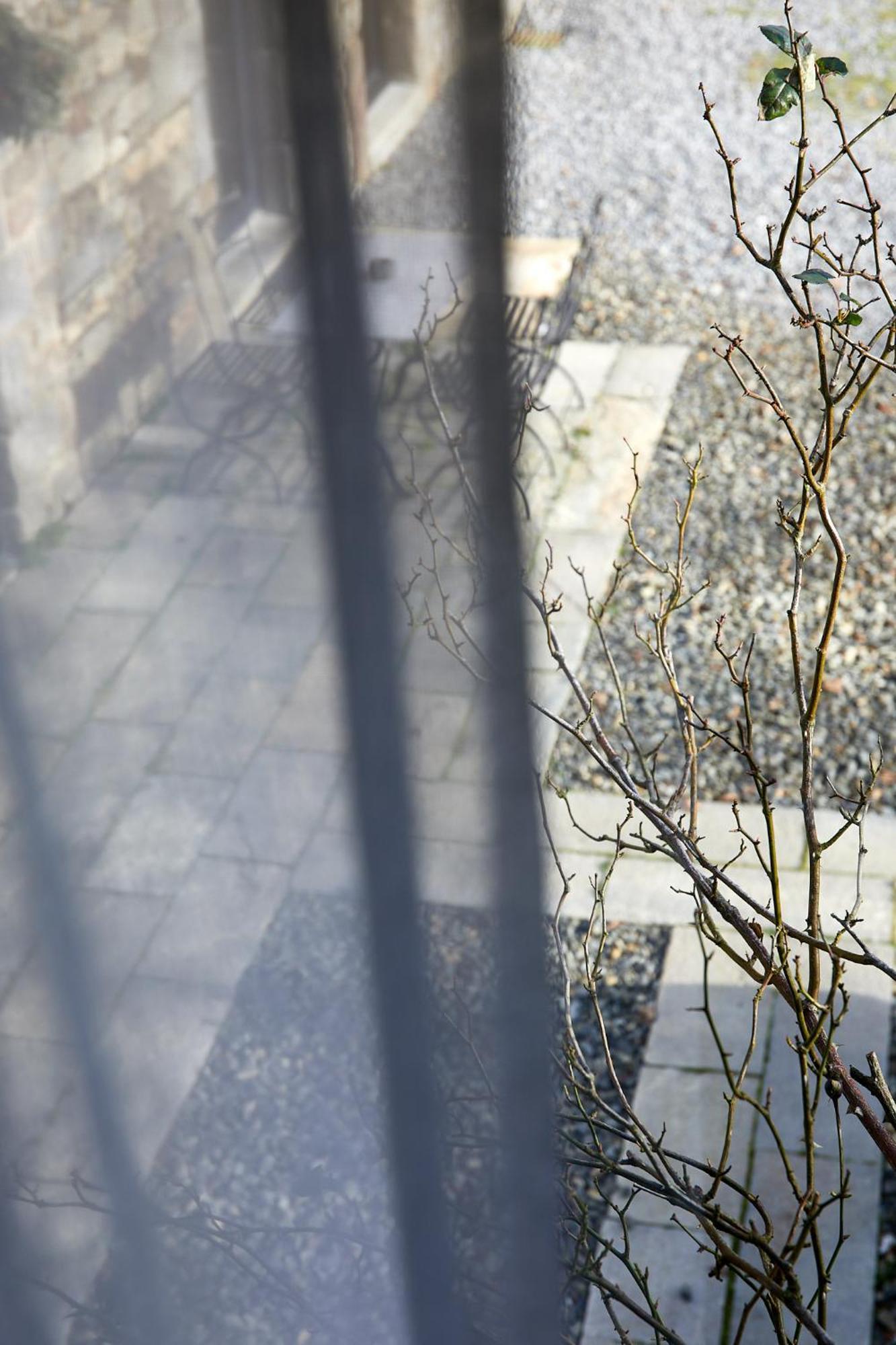 Le Nid De La Breizhidence Combourg Exterior foto